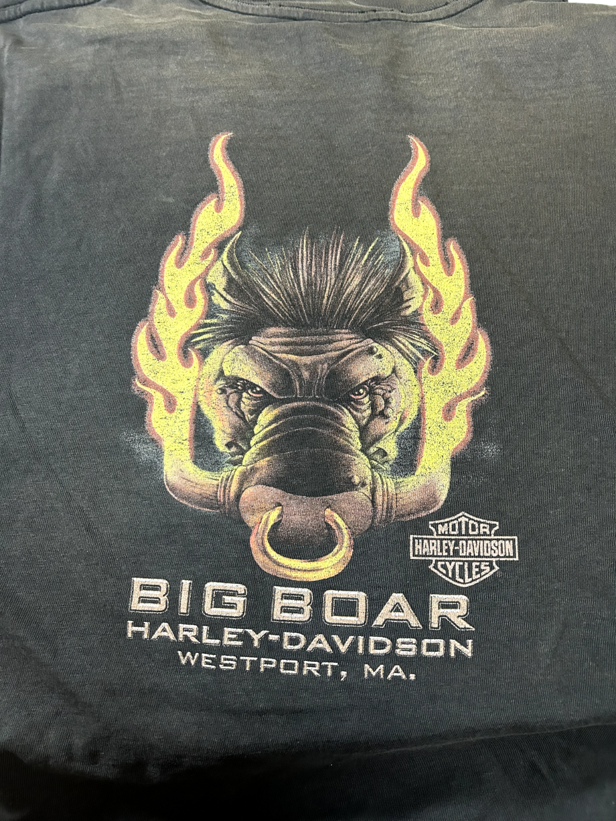 Vintage 90s Harley Davidson Flame Eagles Big Boar Westport Graphic T-Shirt Sz XL