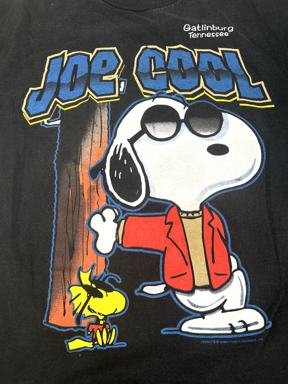 Vintage 90s Peanuts Snoopy Joe Cool Charlie Brown T-Shirt Size Medium